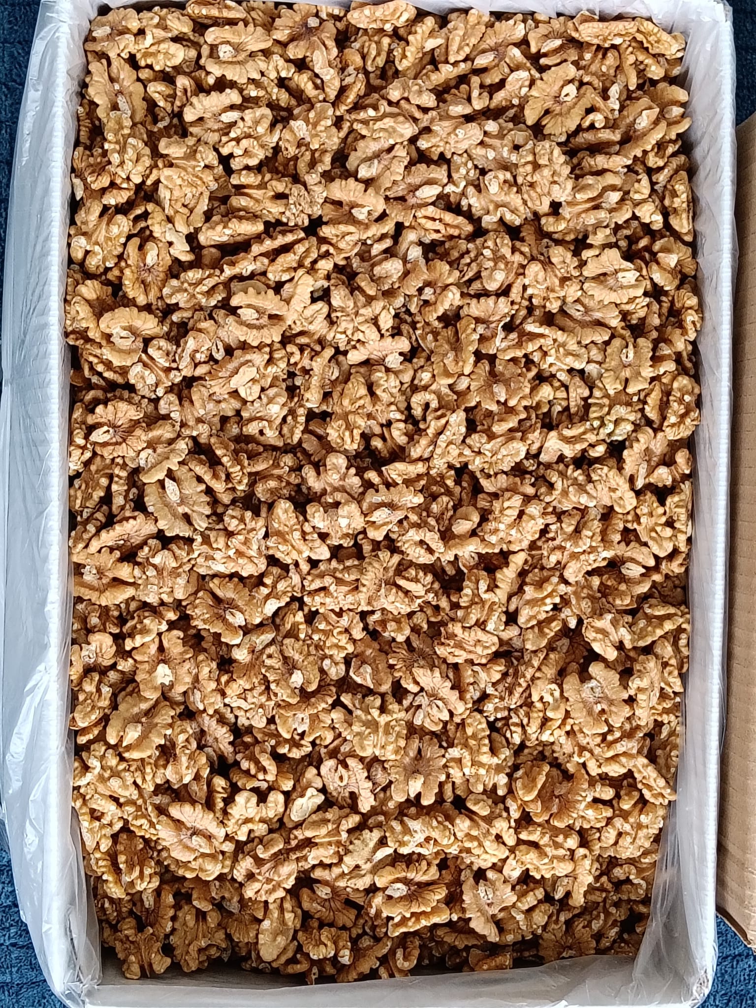 Kelebek İç Ceviz 2
